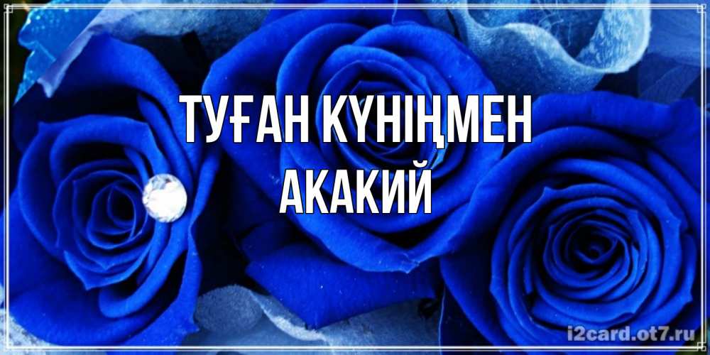 Күн сайын ашық хат с именем, Акакий Туған күніңмен синие розы в росе Онлайн тегін жүктеп алу тілектері бар керемет карта 