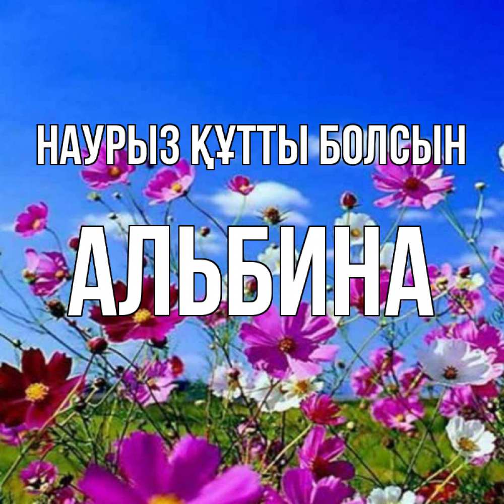 Күн сайын ашық хат с именем, Альбина Наурыз құтты болсын цветы Онлайн тегін жүктеп алу тілектері бар керемет карта 