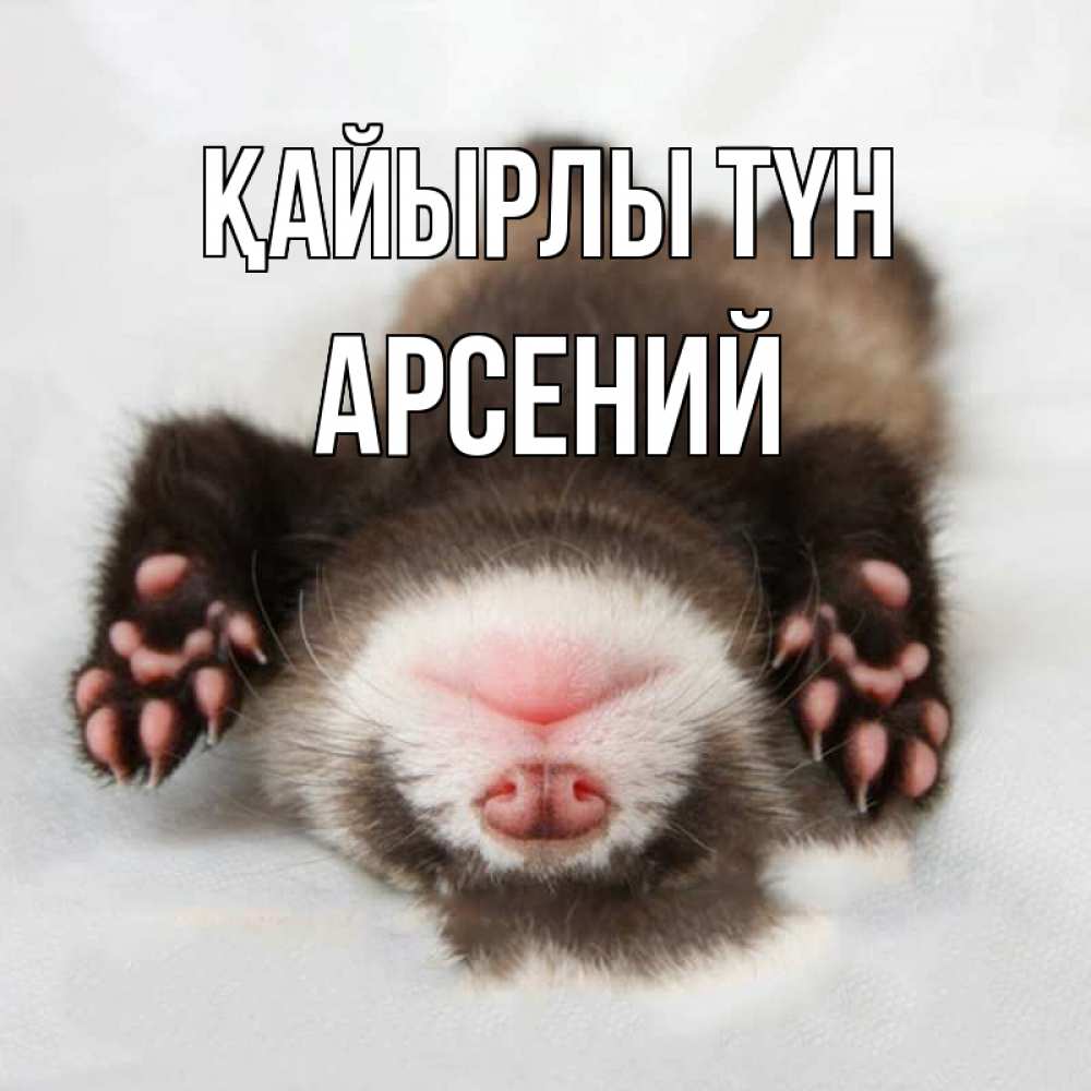 Күн сайын ашық хат с именем, Арсений Қайырлы түн зверек Онлайн тегін жүктеп алу тілектері бар керемет карта 