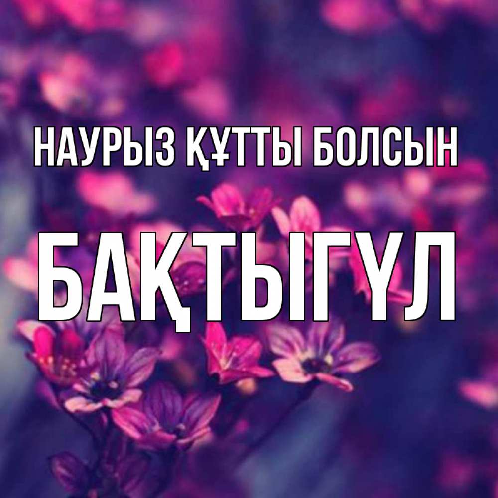 Күн сайын ашық хат с именем, БАҚТЫГҮЛ Наурыз құтты болсын небольшие цветы 1 Онлайн тегін жүктеп алу тілектері бар керемет карта 