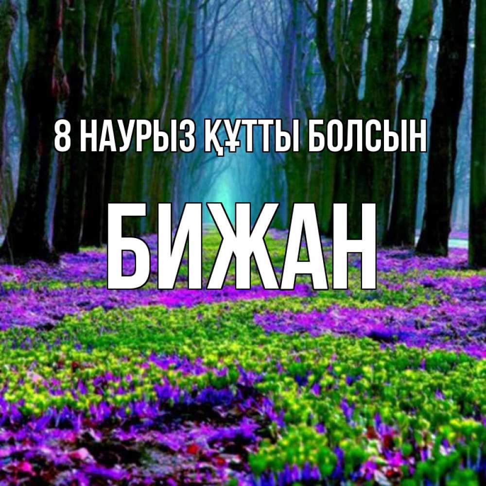 Күн сайын ашық хат с именем, Бижан 8 наурыз құтты болсын фиолетовые цветы в лесу 1 Онлайн тегін жүктеп алу тілектері бар керемет карта 