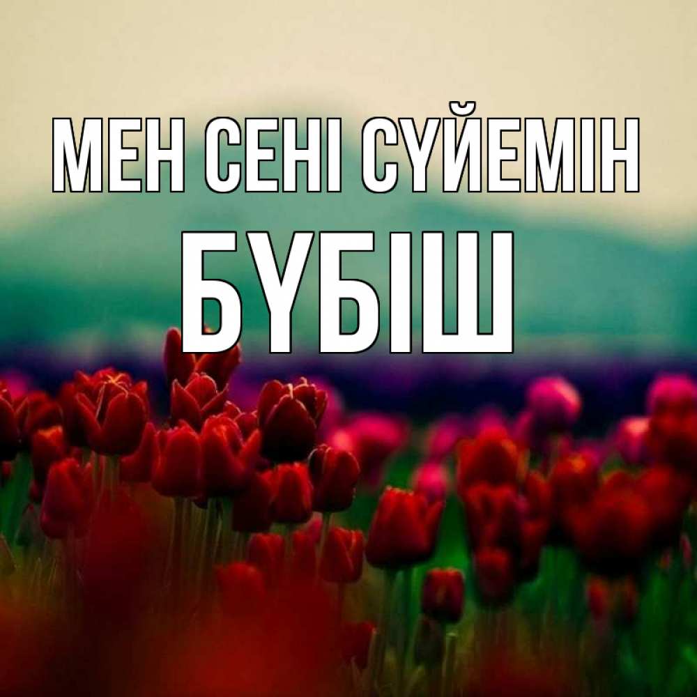 Күн сайын ашық хат с именем, БҮБІШ Мен сені сүйемін тюльпаны 4 Онлайн тегін жүктеп алу тілектері бар керемет карта 