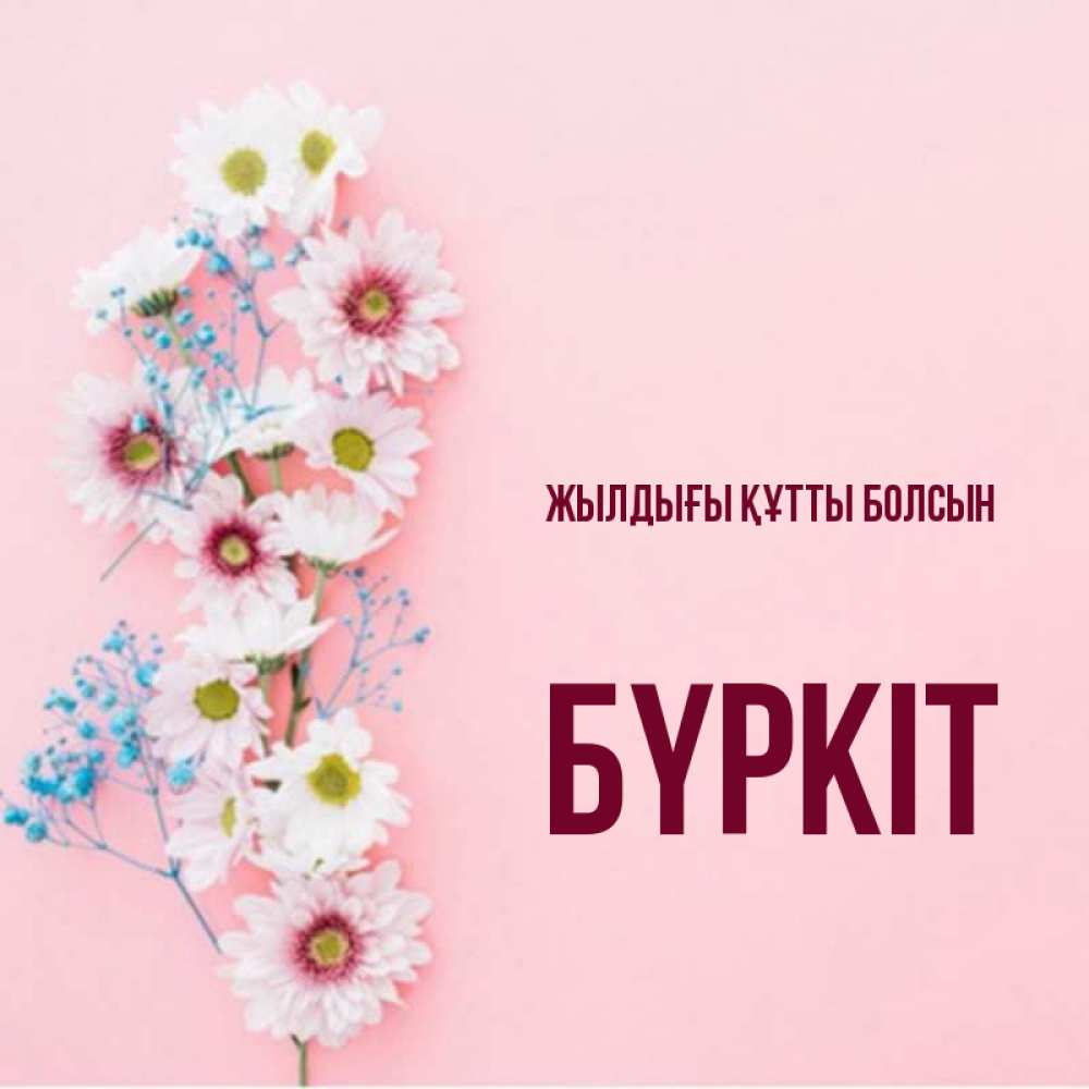 Күн сайын ашық хат с именем, Бүркіт Жылдығы құтты болсын Родная моя с днем рождения тебя картинка с цветами белыми и голубыми Онлайн тегін жүктеп алу тілектері бар керемет карта 