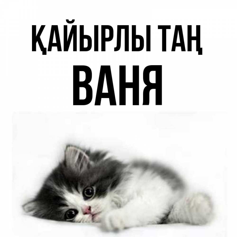 Күн сайын ашық хат с именем, Ваня Қайырлы таң кот лапки Онлайн тегін жүктеп алу тілектері бар керемет карта 