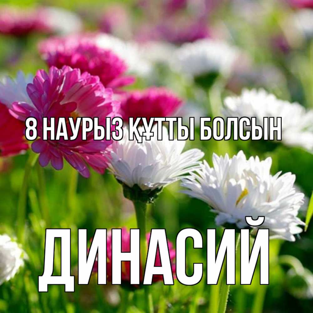 Күн сайын ашық хат с именем, Динасий 8 наурыз құтты болсын международный женский день 1 Онлайн тегін жүктеп алу тілектері бар керемет карта 