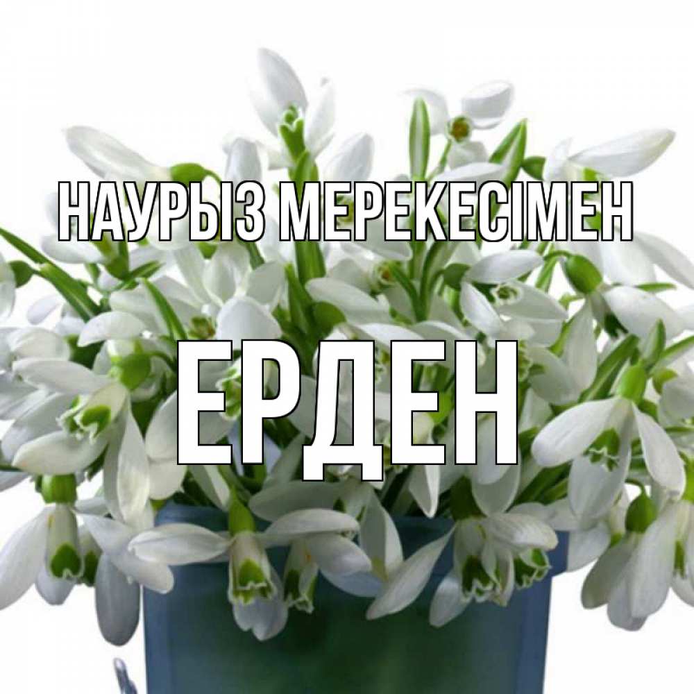 Күн сайын ашық хат с именем, Ерден Наурыз мерекесімен цветы к наурызу новый год в Казахстане Онлайн тегін жүктеп алу тілектері бар керемет карта 