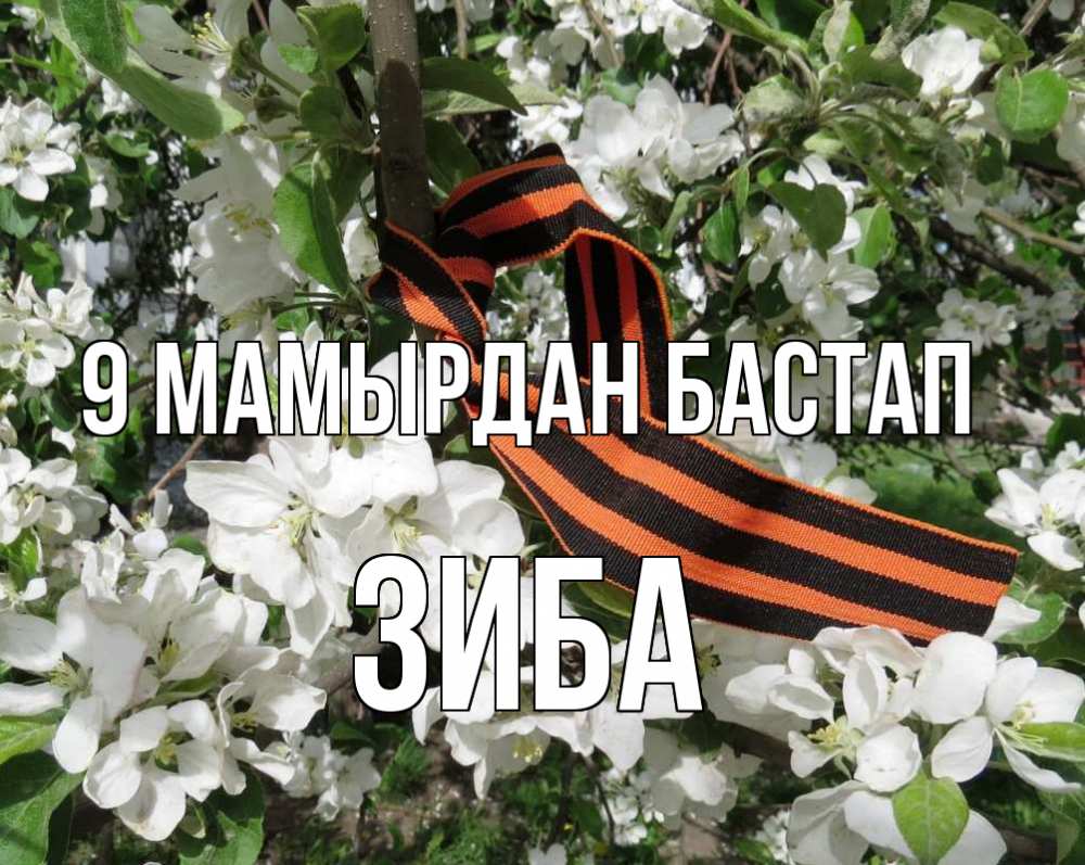 Күн сайын ашық хат с именем, ЗИБА 9 мамырдан бастап 9 мая Онлайн тегін жүктеп алу тілектері бар керемет карта 