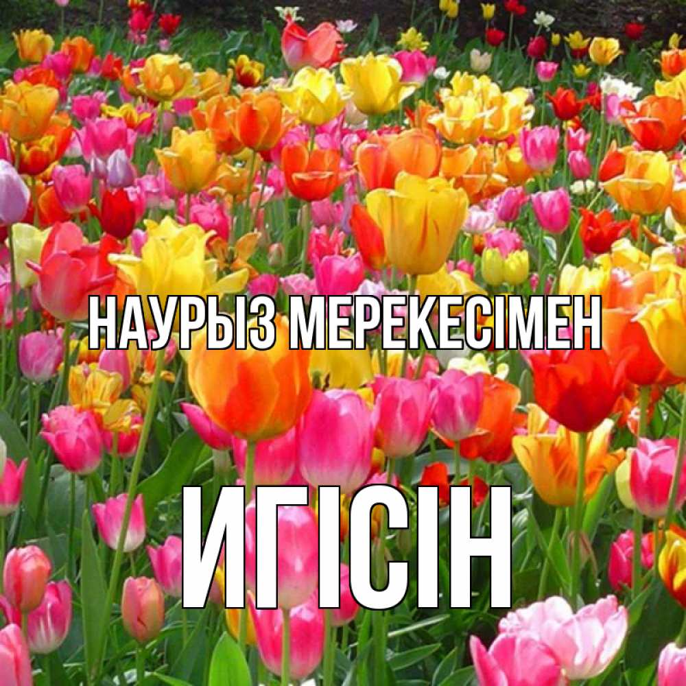 Күн сайын ашық хат с именем, Игісін Наурыз мерекесімен праздник весны наурыз 4 Онлайн тегін жүктеп алу тілектері бар керемет карта 