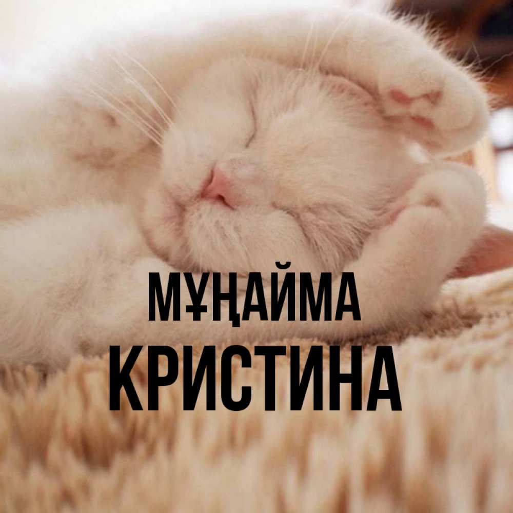 Күн сайын ашық хат с именем, Кристина Мұңайма Котенок спит Онлайн тегін жүктеп алу тілектері бар керемет карта 