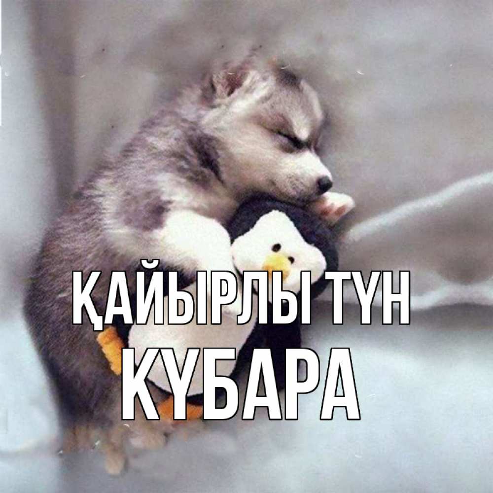 Күн сайын ашық хат с именем, КҮБАРА Қайырлы түн обнимашки щенка и пингвина Онлайн тегін жүктеп алу тілектері бар керемет карта 