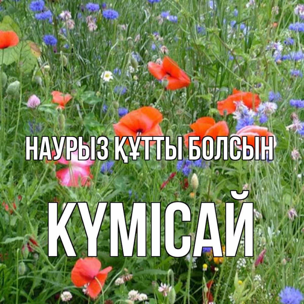 Күн сайын ашық хат с именем, КҮМІСАЙ Наурыз құтты болсын наурыз  4 Онлайн тегін жүктеп алу тілектері бар керемет карта 