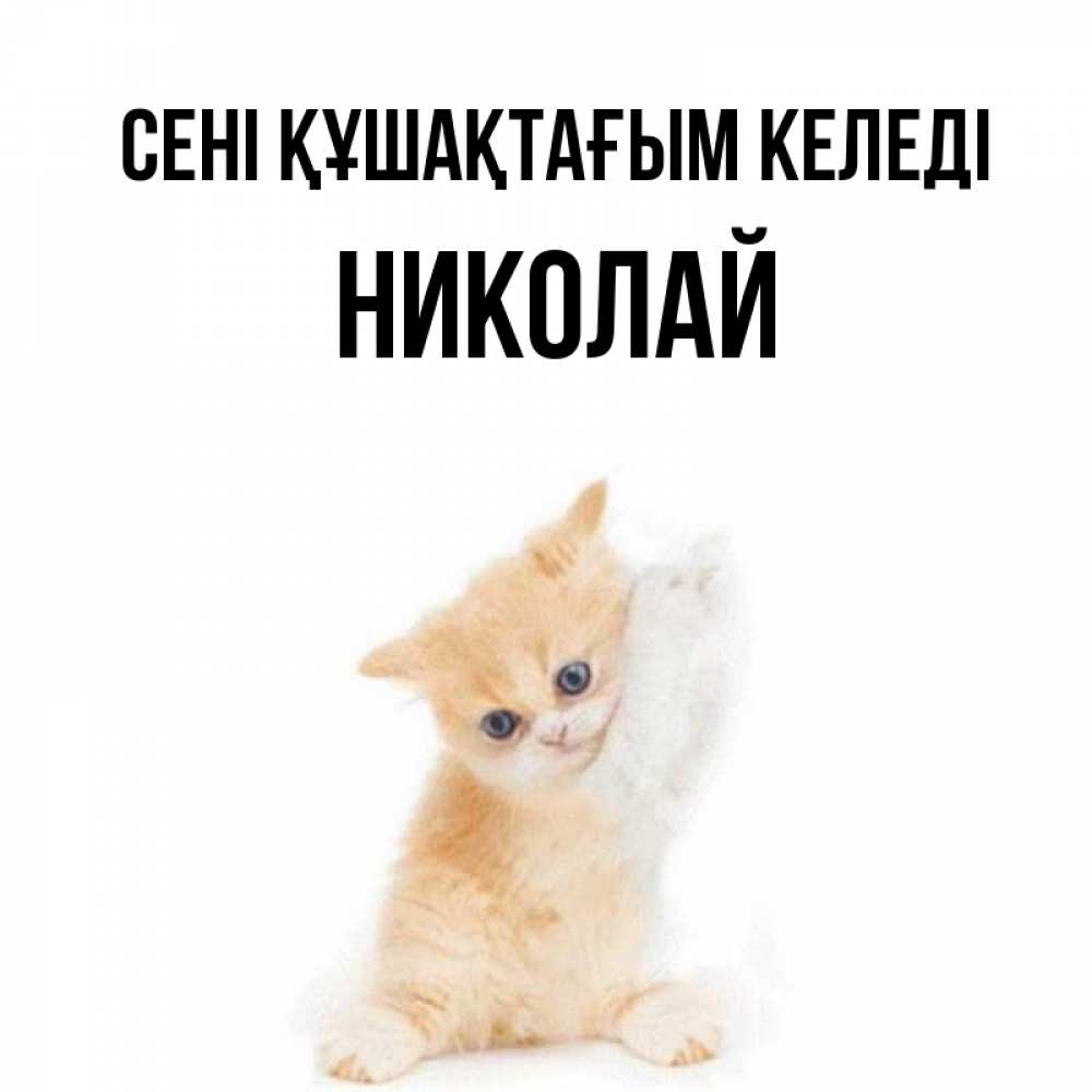 Күн сайын ашық хат с именем, Николай сені құшақтағым келеді я хочу очень скорее обнимаешек Онлайн тегін жүктеп алу тілектері бар керемет карта 