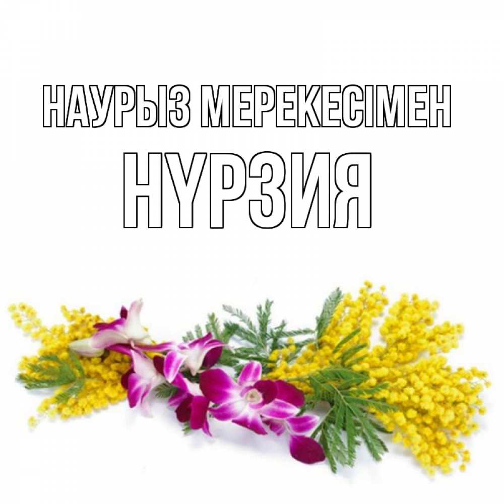 Күн сайын ашық хат с именем, НҮРЗИЯ Наурыз мерекесімен открытка на международный женский день с цветами  1 Онлайн тегін жүктеп алу тілектері бар керемет карта 