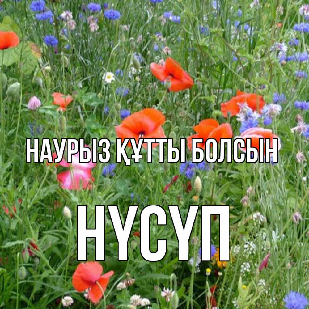 Күн сайын ашық хат с именем, НҮСҮП Наурыз құтты болсын наурыз  4 Онлайн тегін жүктеп алу тілектері бар керемет карта 
