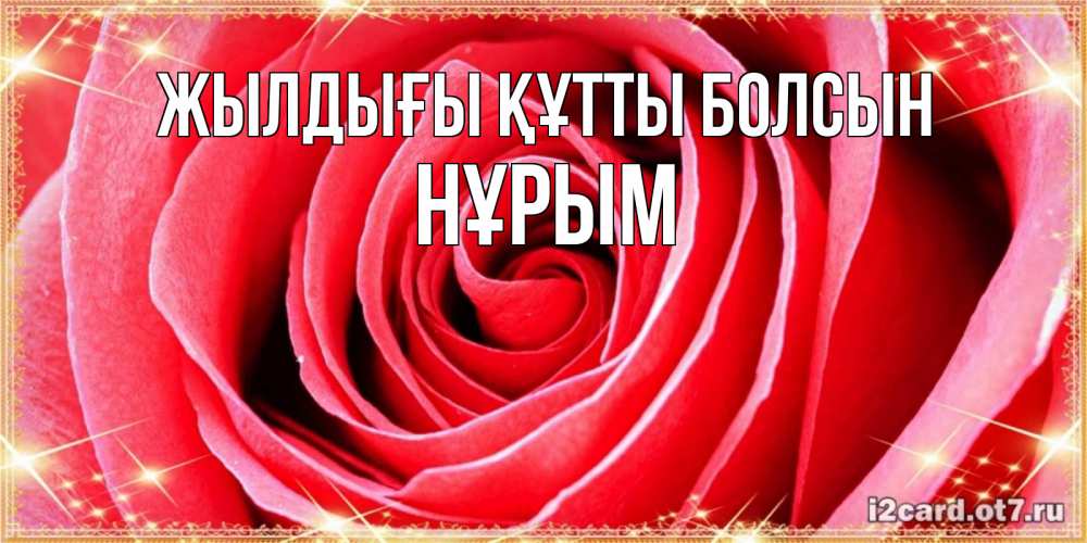 Күн сайын ашық хат с именем, Нұрым Жылдығы құтты болсын розовая роза очень крупный бутон Онлайн тегін жүктеп алу тілектері бар керемет карта 