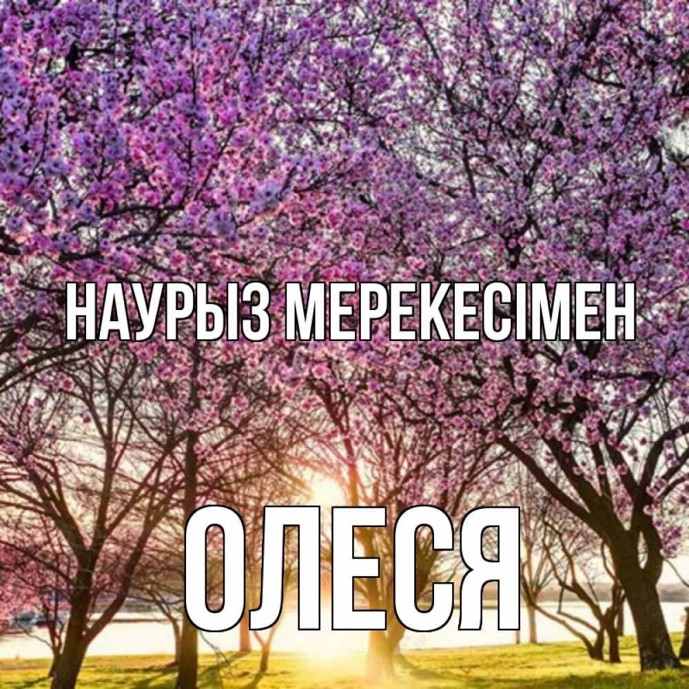 Күн сайын ашық хат с именем, Олеся Наурыз мерекесімен праздник весны наурыз Онлайн тегін жүктеп алу тілектері бар керемет карта 