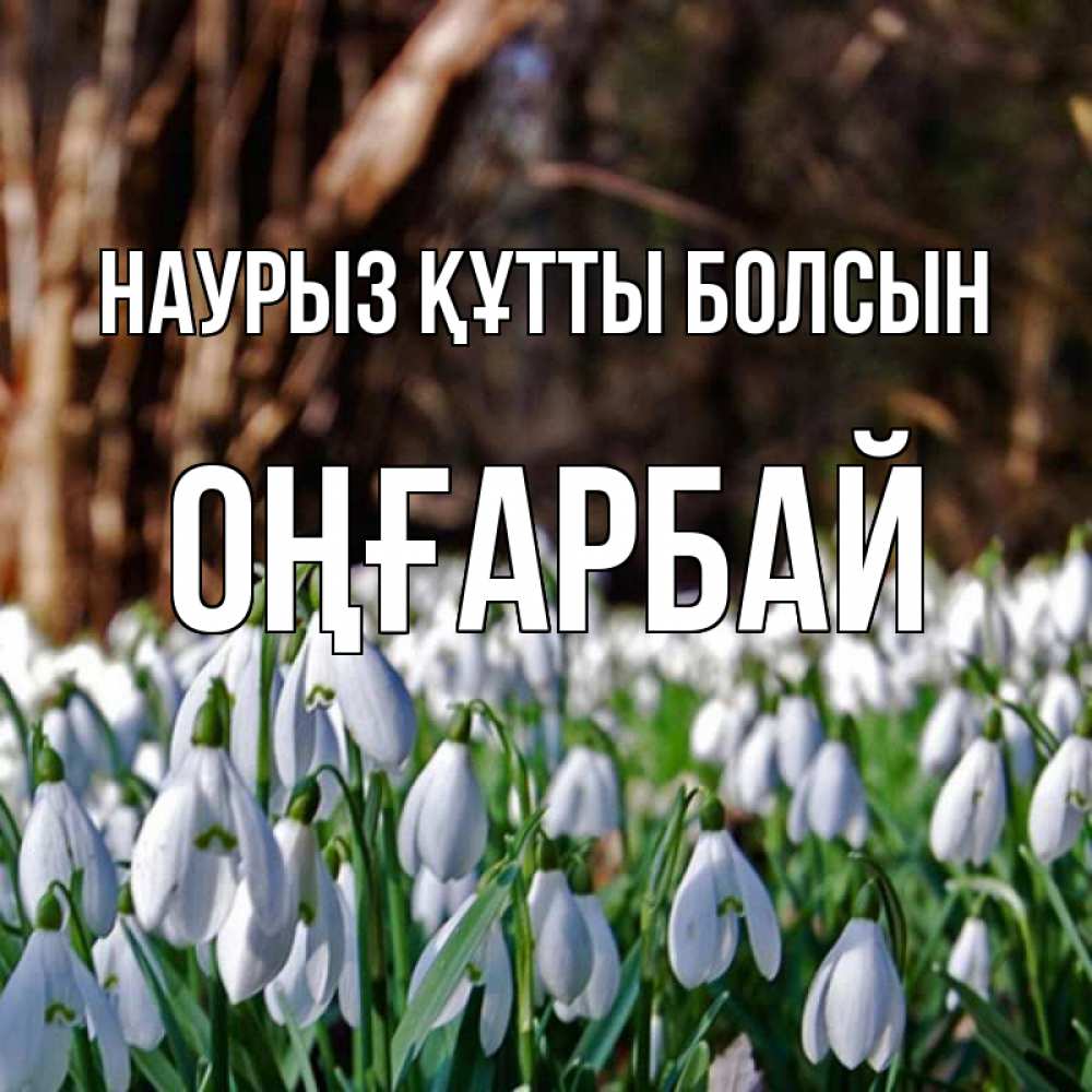 Күн сайын ашық хат с именем, ОҢҒАРБАЙ Наурыз құтты болсын с подснежниками 1 Онлайн тегін жүктеп алу тілектері бар керемет карта 