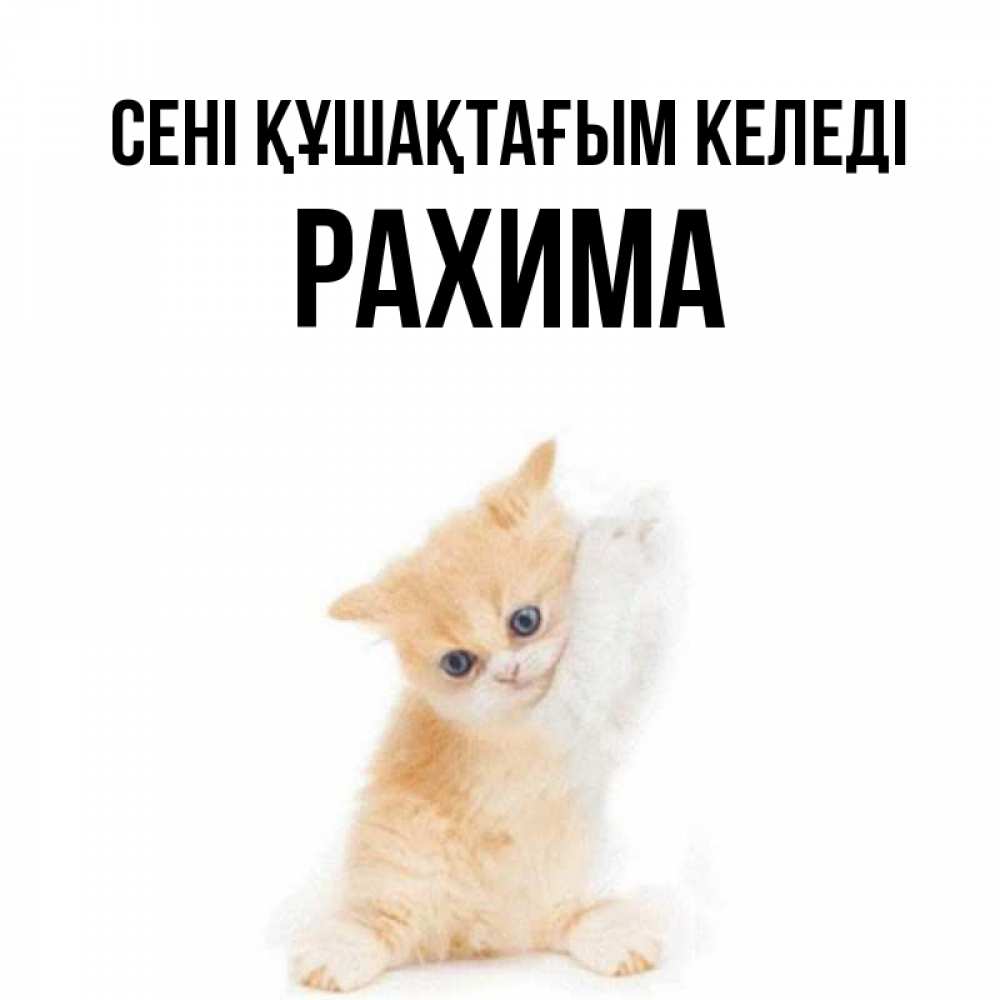 Күн сайын ашық хат с именем, РАХИМА сені құшақтағым келеді я хочу очень скорее обнимаешек Онлайн тегін жүктеп алу тілектері бар керемет карта 