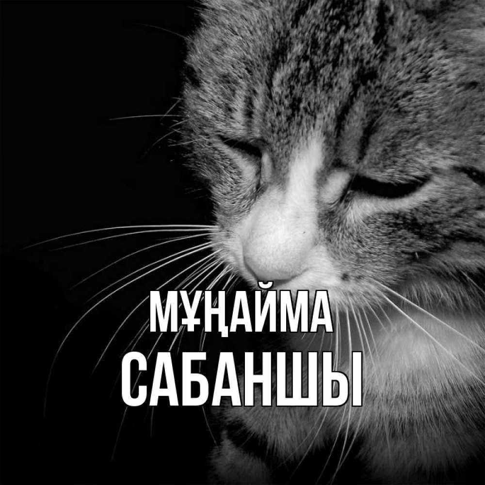 Күн сайын ашық хат с именем, САБАНШЫ Мұңайма грустный котик Онлайн тегін жүктеп алу тілектері бар керемет карта 