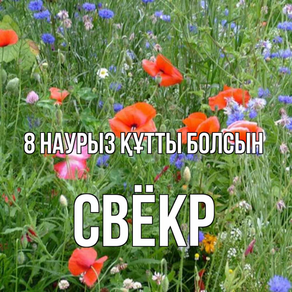 Күн сайын ашық хат с именем, Свёкр 8 наурыз құтты болсын международный женский день 4 Онлайн тегін жүктеп алу тілектері бар керемет карта 