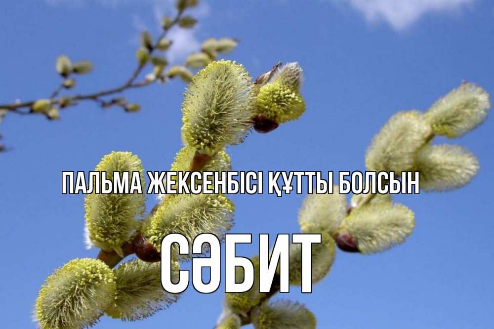 Күн сайын ашық хат с именем, СӘБИТ Пальма жексенбісі құтты болсын верба Онлайн тегін жүктеп алу тілектері бар керемет карта 