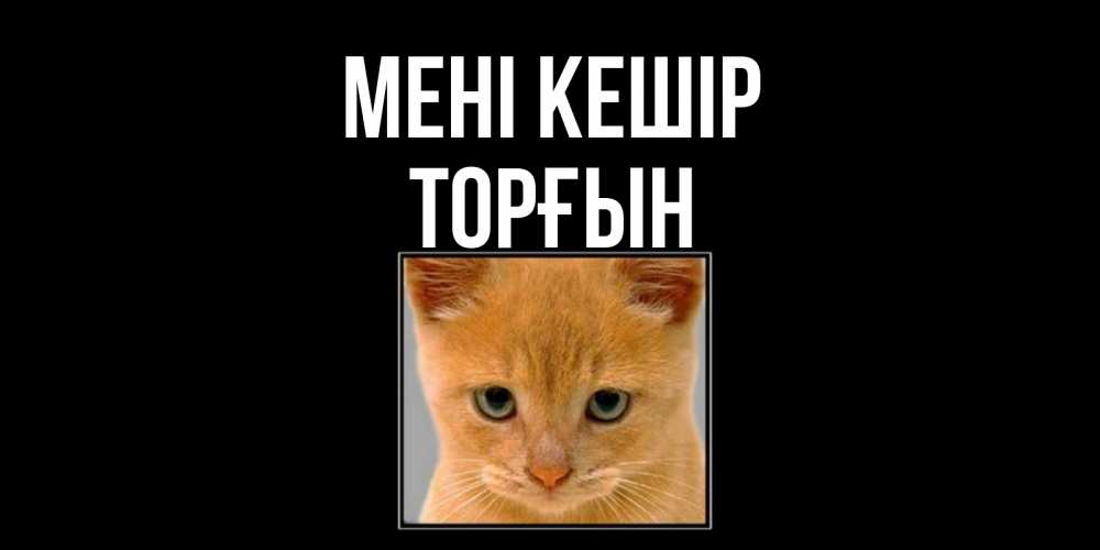 Күн сайын ашық хат с именем, ТОРҒЫН Мені кешір рыжий грустный кот просит прощения Онлайн тегін жүктеп алу тілектері бар керемет карта 