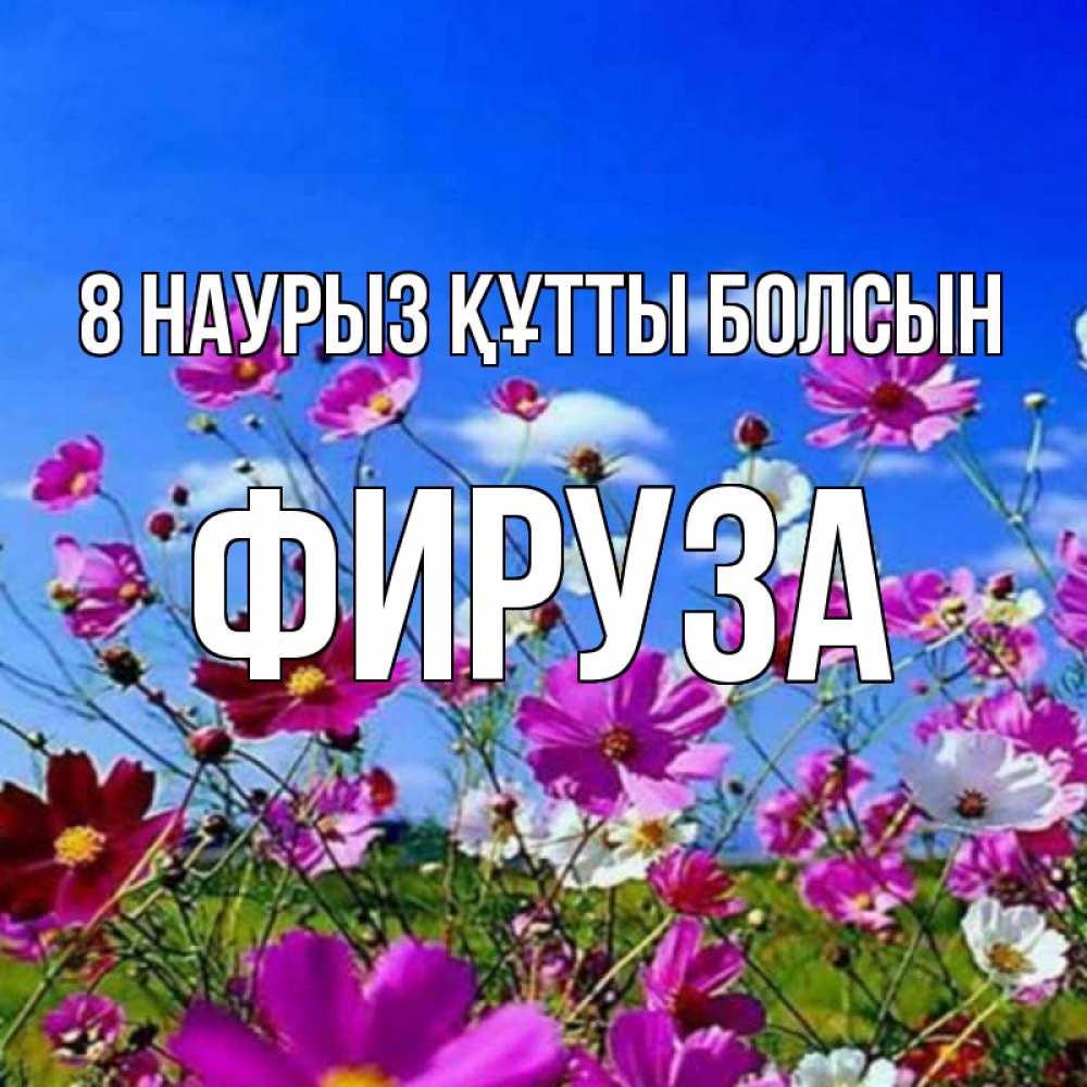Күн сайын ашық хат с именем, ФИРУЗА 8 наурыз құтты болсын цветы Онлайн тегін жүктеп алу тілектері бар керемет карта 