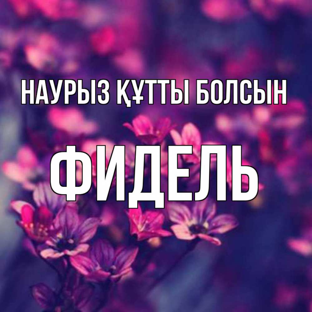 Күн сайын ашық хат с именем, Фидель Наурыз құтты болсын небольшие цветы 1 Онлайн тегін жүктеп алу тілектері бар керемет карта 