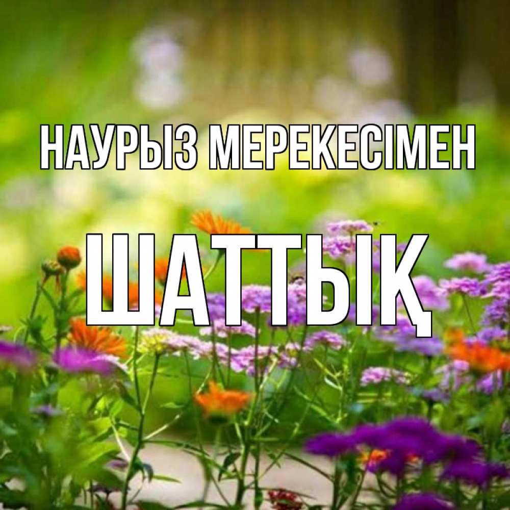 Күн сайын ашық хат с именем, ШАТТЫҚ Наурыз мерекесімен цветы Онлайн тегін жүктеп алу тілектері бар керемет карта 