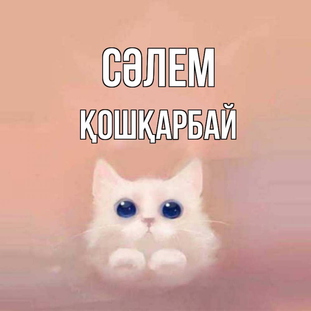 Күн сайын ашық хат с именем, ҚОШҚАРБАЙ Сәлем котик белый в полете Онлайн тегін жүктеп алу тілектері бар керемет карта 