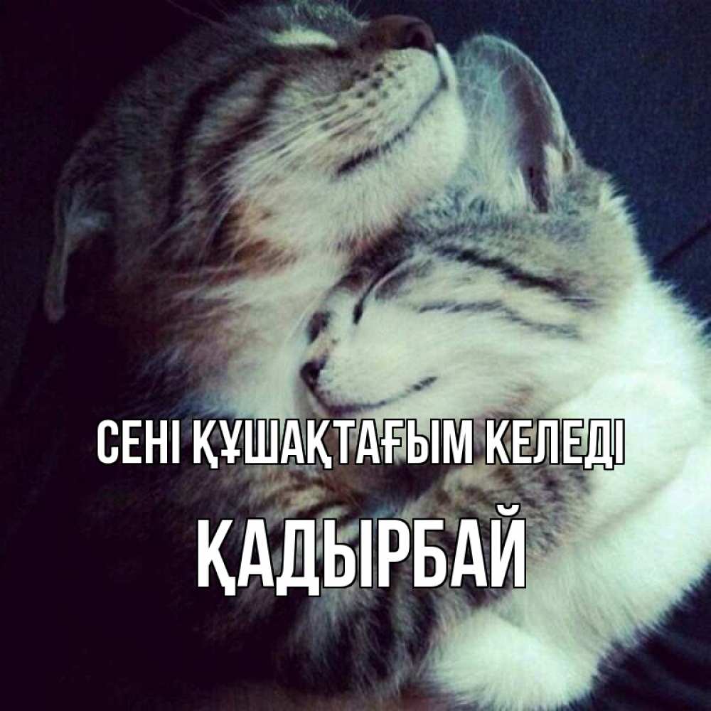 Күн сайын ашық хат с именем, Қадырбай сені құшақтағым келеді полосатики Онлайн тегін жүктеп алу тілектері бар керемет карта 