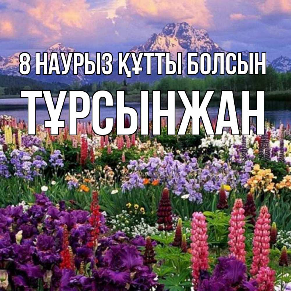 Күн сайын ашық хат с именем, ТҰРСЫНЖАН 8 наурыз құтты болсын международный женский день Онлайн тегін жүктеп алу тілектері бар керемет карта 