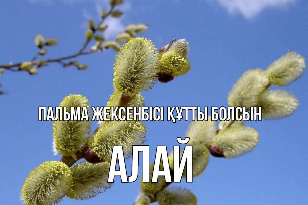 Күн сайын ашық хат с именем, Алай Пальма жексенбісі құтты болсын верба Онлайн тегін жүктеп алу тілектері бар керемет карта 