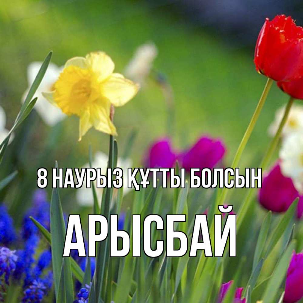 Күн сайын ашық хат с именем, Арысбай 8 наурыз құтты болсын международный женский день 3 Онлайн тегін жүктеп алу тілектері бар керемет карта 
