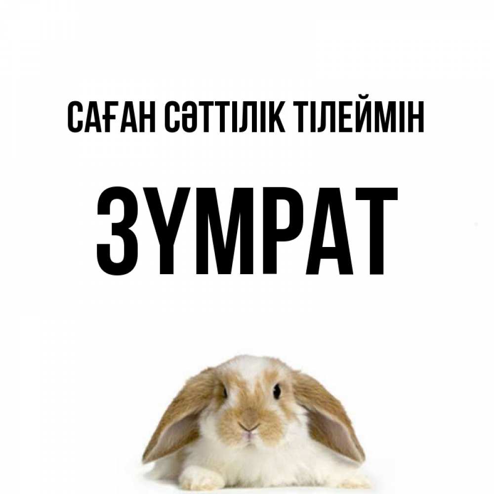 Күн сайын ашық хат с именем, ЗҮМРАТ Саған сәттілік тілеймін открытки с произвольным текстом который можно вставить в открытку и создать ее самостоятельно бесплатно онлайн Онлайн тегін жүктеп алу тілектері бар керемет карта 