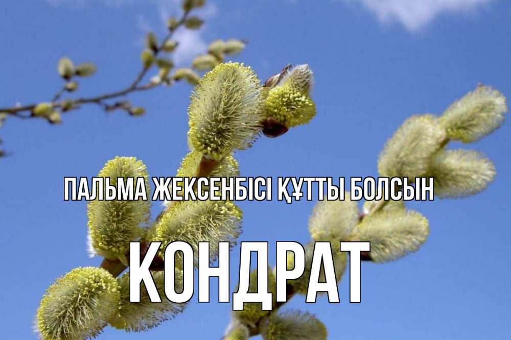 Күн сайын ашық хат с именем, Кондрат Пальма жексенбісі құтты болсын верба Онлайн тегін жүктеп алу тілектері бар керемет карта 