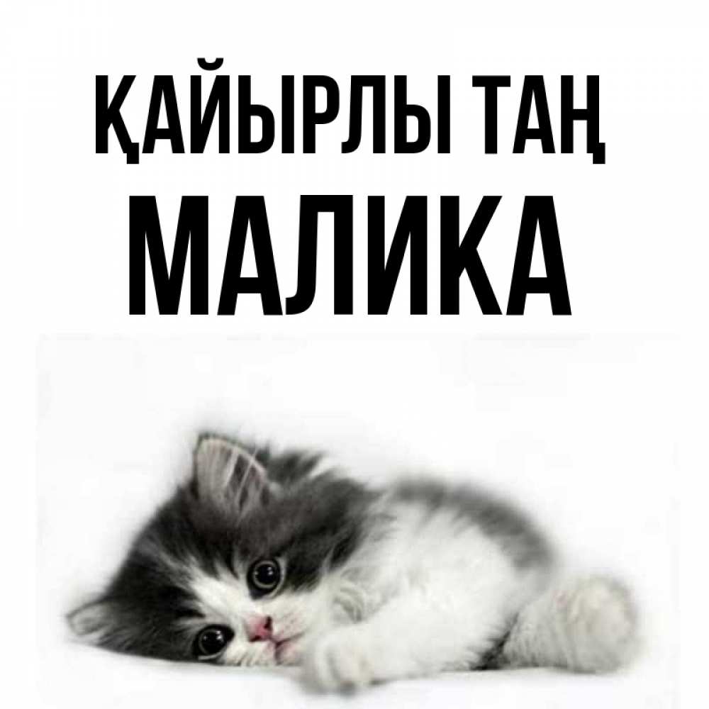 Күн сайын ашық хат с именем, Малика Қайырлы таң кот лапки Онлайн тегін жүктеп алу тілектері бар керемет карта 