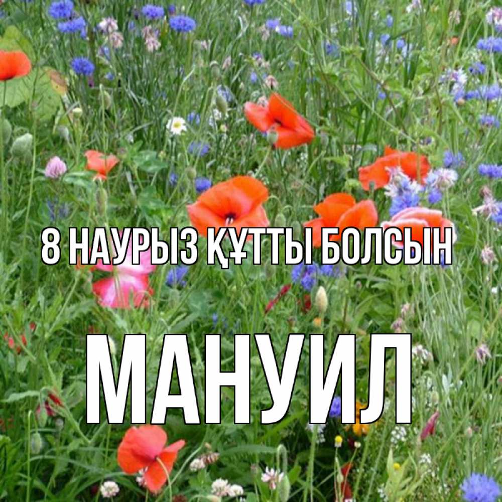 Күн сайын ашық хат с именем, Мануил 8 наурыз құтты болсын международный женский день 4 Онлайн тегін жүктеп алу тілектері бар керемет карта 