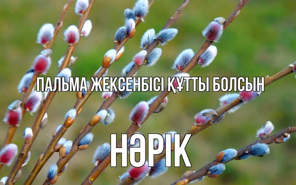Күн сайын ашық хат с именем, НӘРІК Пальма жексенбісі құтты болсын верба Онлайн тегін жүктеп алу тілектері бар керемет карта 
