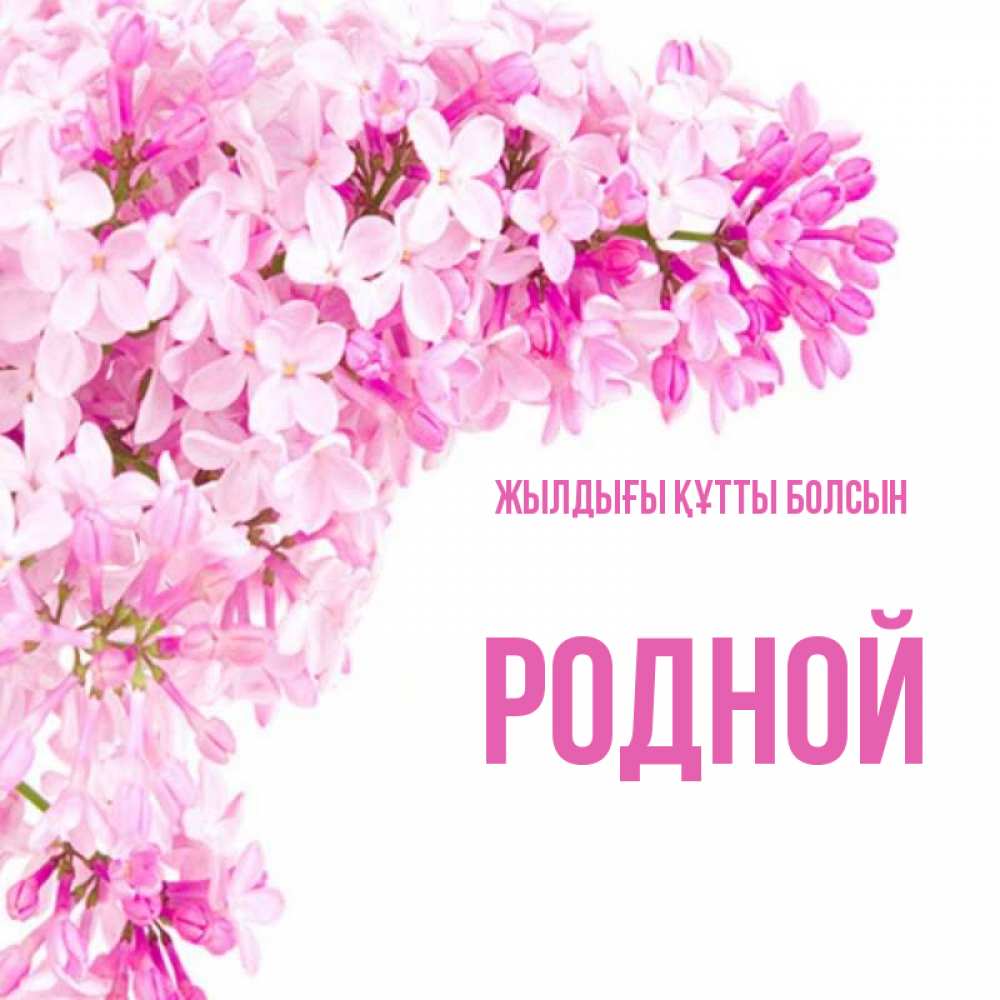 Күн сайын ашық хат с именем, Родной Жылдығы құтты болсын Сирень на белом фоне Онлайн тегін жүктеп алу тілектері бар керемет карта 