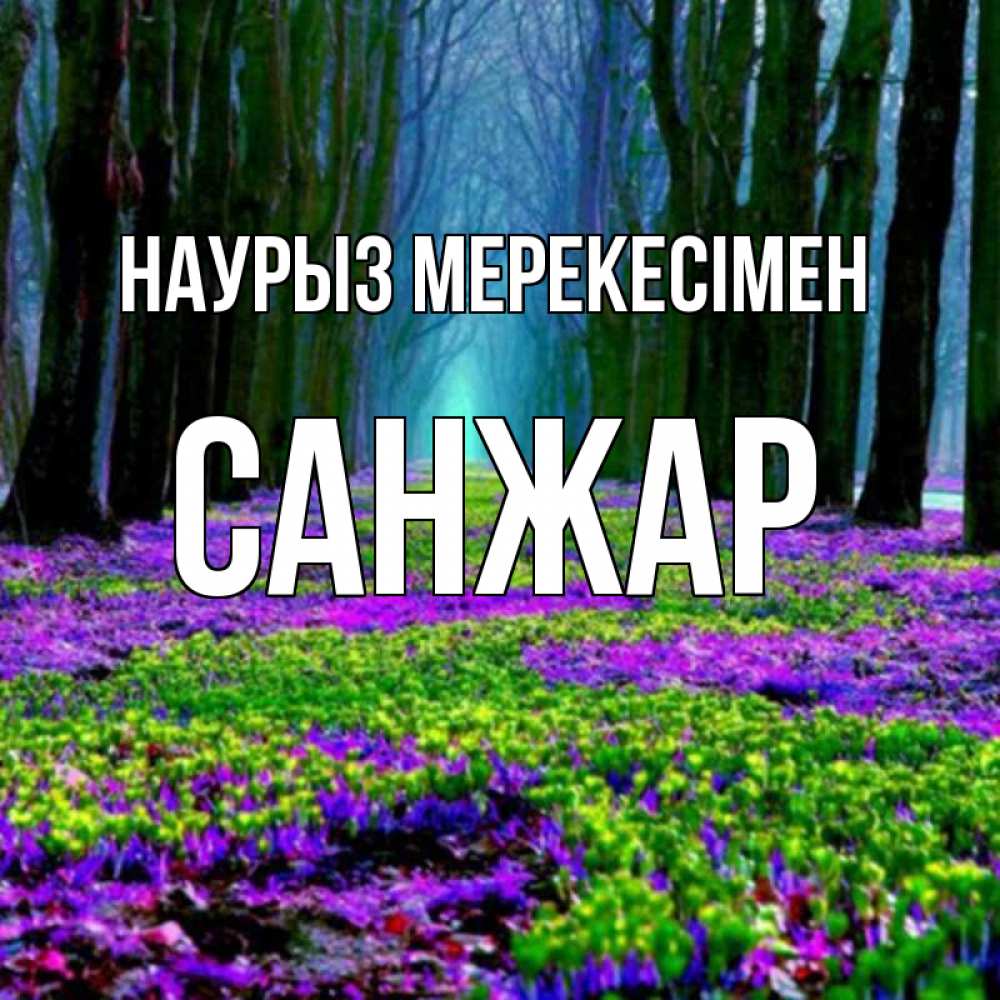 Күн сайын ашық хат с именем, САНЖАР Наурыз мерекесімен фиолетовые цветы в лесу 1 Онлайн тегін жүктеп алу тілектері бар керемет карта 