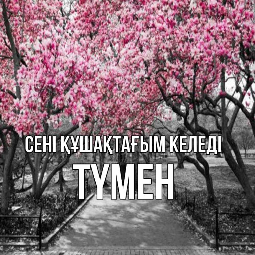 Күн сайын ашық хат с именем, ТҮМЕН сені құшақтағым келеді обработанное фото Онлайн тегін жүктеп алу тілектері бар керемет карта 