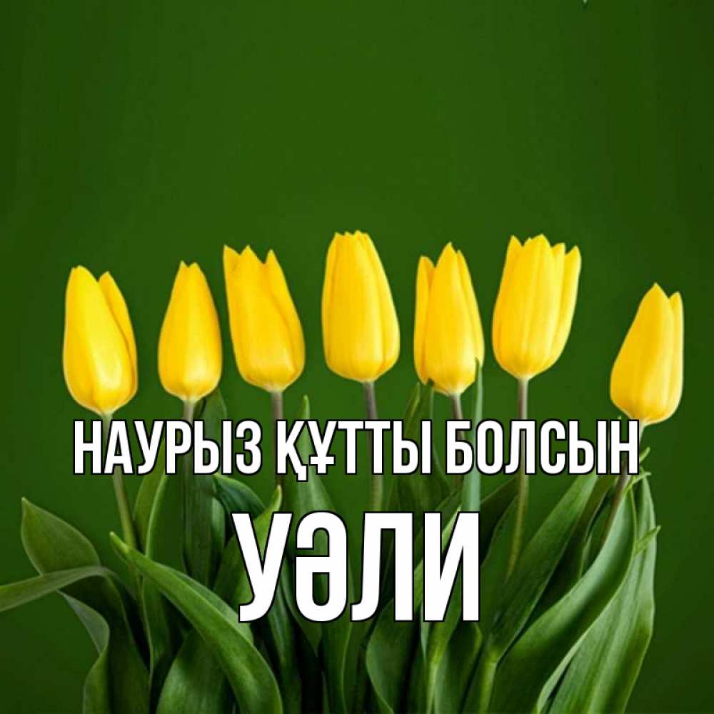 Күн сайын ашық хат с именем, УӘЛИ Наурыз құтты болсын желтого цвета 3 Онлайн тегін жүктеп алу тілектері бар керемет карта 