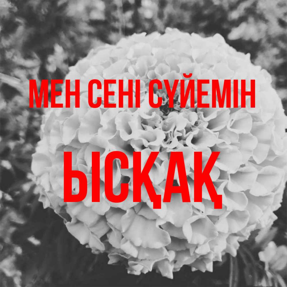 Күн сайын ашық хат с именем, ЫСҚАҚ Мен сені сүйемін подпись Онлайн тегін жүктеп алу тілектері бар керемет карта 