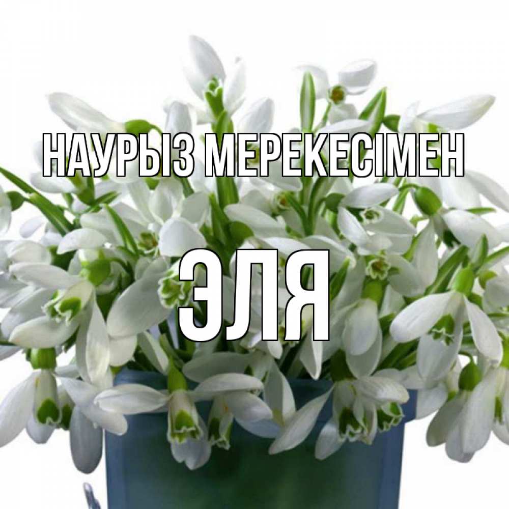 Күн сайын ашық хат с именем, Эля Наурыз мерекесімен цветы к наурызу новый год в Казахстане Онлайн тегін жүктеп алу тілектері бар керемет карта 