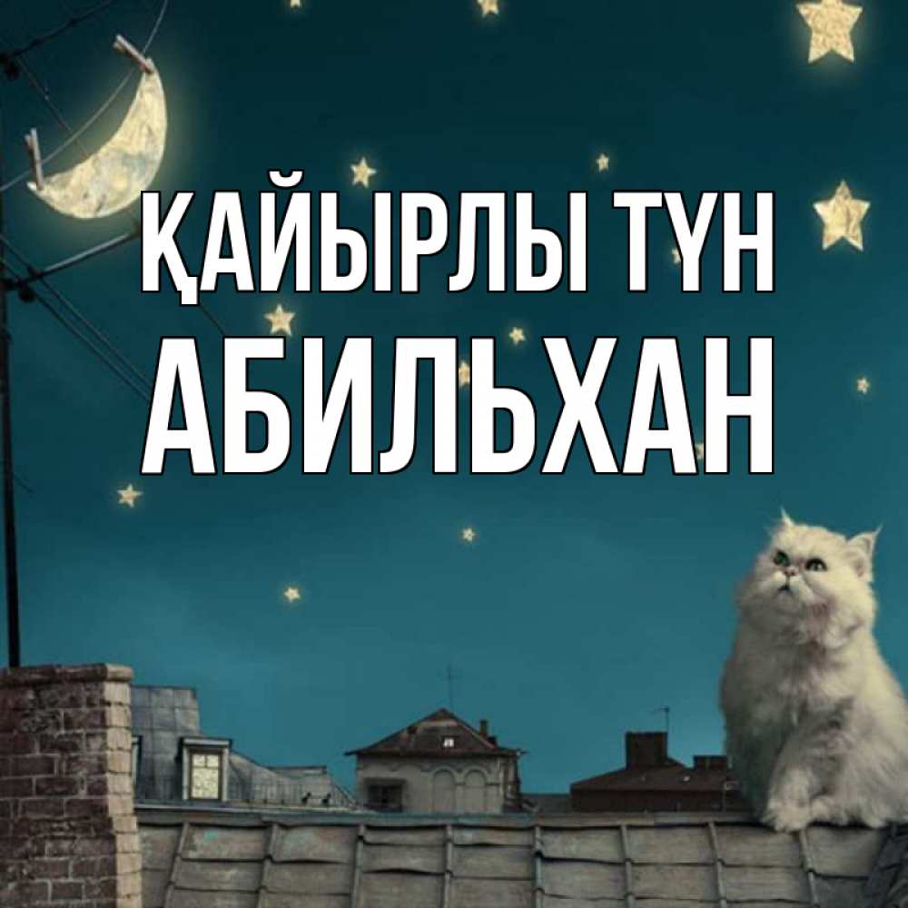 Күн сайын ашық хат с именем, Абильхан Қайырлы түн белый кот сидит на крыше Онлайн тегін жүктеп алу тілектері бар керемет карта 