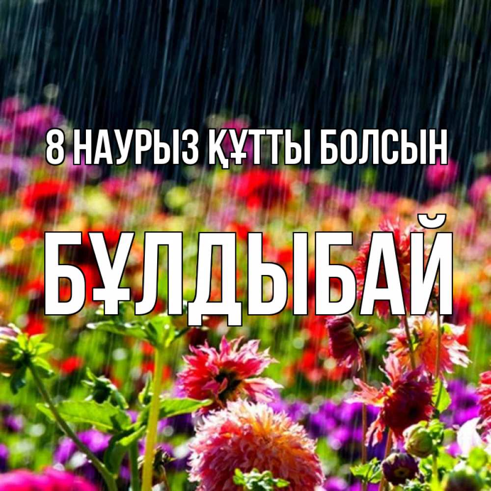 Күн сайын ашық хат с именем, Бұлдыбай 8 наурыз құтты болсын цветы под дождиком к международному женскому дню Онлайн тегін жүктеп алу тілектері бар керемет карта 