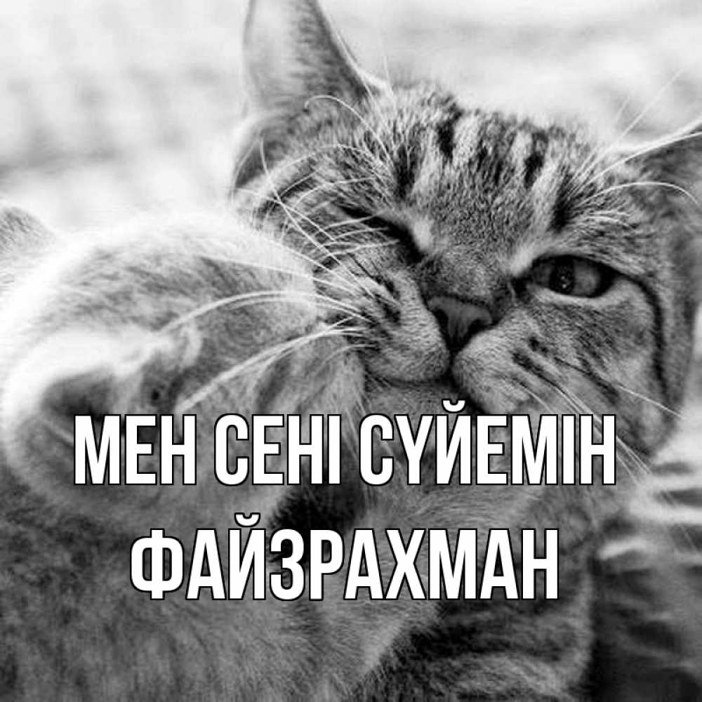 Күн сайын ашық хат с именем, ФАЙЗРАХМАН Мен сені сүйемін коты Онлайн тегін жүктеп алу тілектері бар керемет карта 