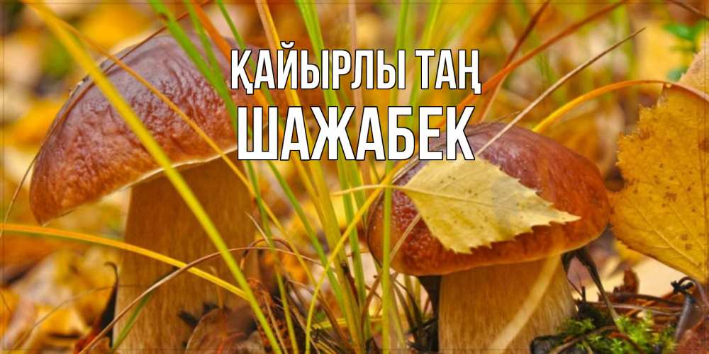 Күн сайын ашық хат с именем, ШАЖАБЕК Қайырлы таң осенние грибы Онлайн тегін жүктеп алу тілектері бар керемет карта 
