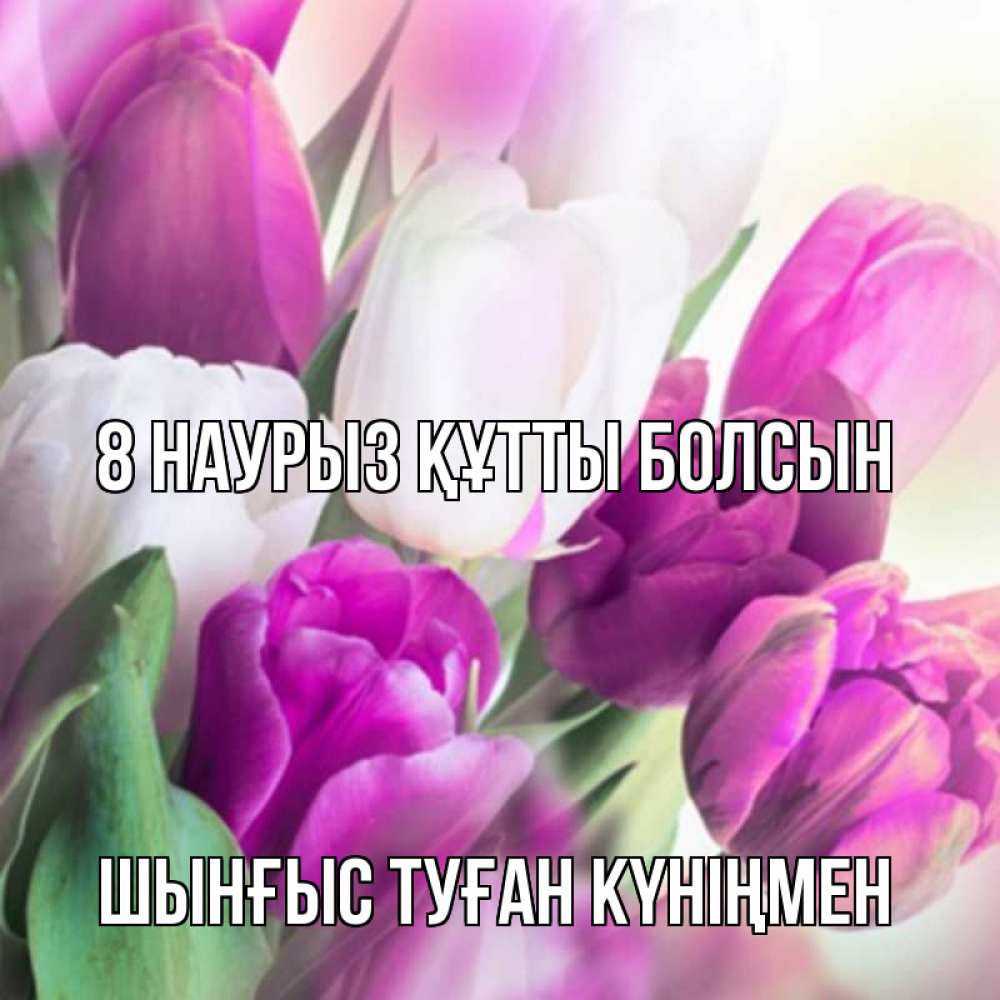 Картинка 8 наурыз құтты болсын, ШЫНҒЫС! ТУҒАН КҮНІҢМЕН!
